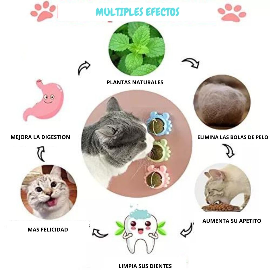 Juguete gato Catnip Hierba Natural